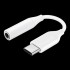 SAMSUNG ADAPTADOR USB-C A JACK 3.5MM