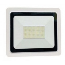 FOCO PROYECTOR LED 10W B. NEUTRO IP66 SILVER BLANCO